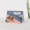 Search for wild duck cards Birds