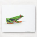Search for tree frog mouse mats Reptile