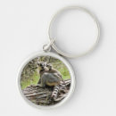 Search for lemur key rings Wildlife