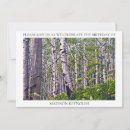 Search for aspen tree invitations Aspens