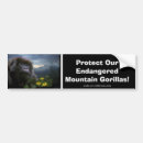 Search for endangered animals bumper stickers Mtn gorilla