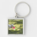 Search for japan key rings Sun