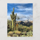 Search for colors postcards Nature
