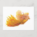 Search for will rise postcards Bird