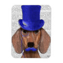 Search for moustache magnets Dog