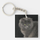 Search for cat hair key rings Kitty