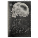 Search for skeleton calendars Skull