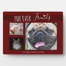 Search for pet memorial plaques Sympathy