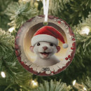 Search for ferret christmas tree decorations Santa