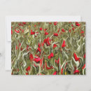 Search for opium Poppy