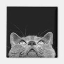 Search for looking magnets Background