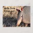 Search for armadillo horizontal postcards Nature