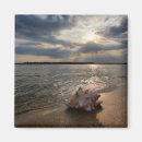 Search for beach shells magnets Nautical
