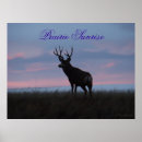 Search for buck deer posters Wildlife photography