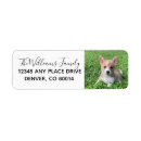 Search for add your own photo return address labels Dog