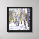 Search for aspen tree canvas prints Scenic
