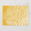 Search for translucent postcards Ocean