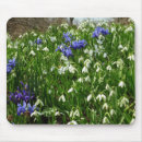 Search for hillside mouse mats Nature