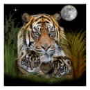 Search for tiger cub posters Wildlife