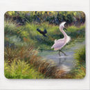 Search for marsh mouse mats Nature