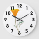Search for poppy clocks Plants