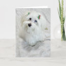 Search for tiny cards Puppy