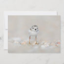 Search for baby chick thank you cards Bird