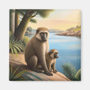 Search for baboon monkey Wild