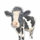 Search for bovine stickers Moo