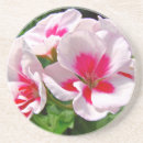 Search for geranium coasters Red