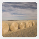 Search for bales stickers Landscape