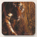 Search for bengal barware Colour image