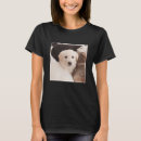 Search for cute animal tshirts Cute baby animals