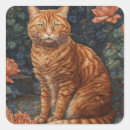 Search for ginger tabby stickers Feline