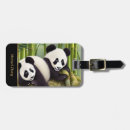 Search for cute luggage tags Boys