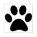 Search for dog paws For pets