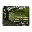 Search for 1 3 magnets Inspirational