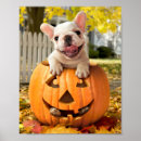 Search for funny halloween posters Pets