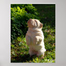 Search for pei posters Puppy