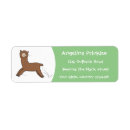 Search for alpaca return address labels Animal