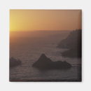 Search for 101 magnets Usa