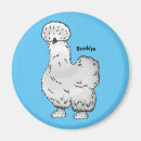 Search for silky magnets Chicken