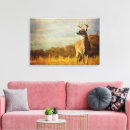 Search for whitetail canvas prints Buck