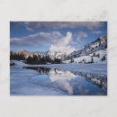 Search for frozen postcards Ie