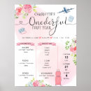 Search for suitcase posters Aeroplane