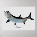 Search for tarpon art Wildlife