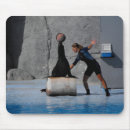 Search for balancing mouse mats Ball