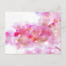 Search for cherry tree postcards Floral