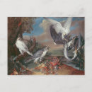Search for falcon postcards Hawk