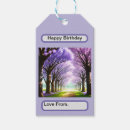 Search for jacaranda Trees